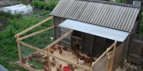 Ljetni kokošinjac: kako izgraditi vlastitim rukama